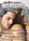 The Circlet Press Gay Romance Bundle