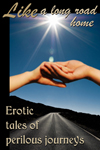 Like A Long Road Home: Erotic Tales of Perilous Journeys