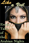 Like A Veil: Erotic Tales of the Arabian Nights