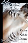 Like A Chill Down Your Spine: Erotic Ghost Stories