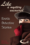 Like a Mystery Uncovered: Erotic Detective Stories