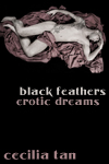 black_feathers_cover_iconsize